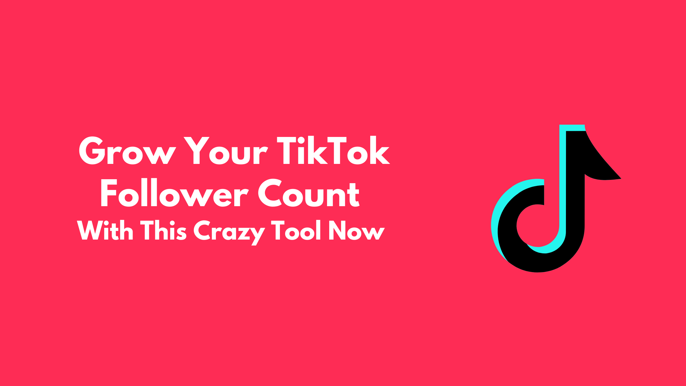 Grow Your TikTok Follower Count With This Crazy Tool Now 